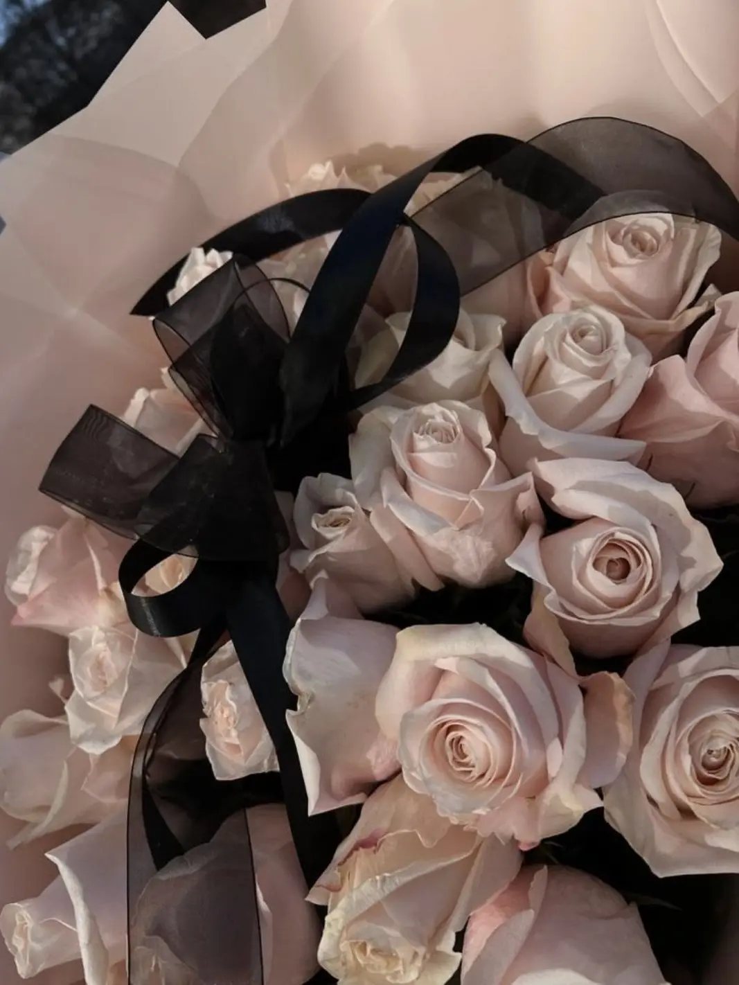 miougi_910의 犬猿の仲。