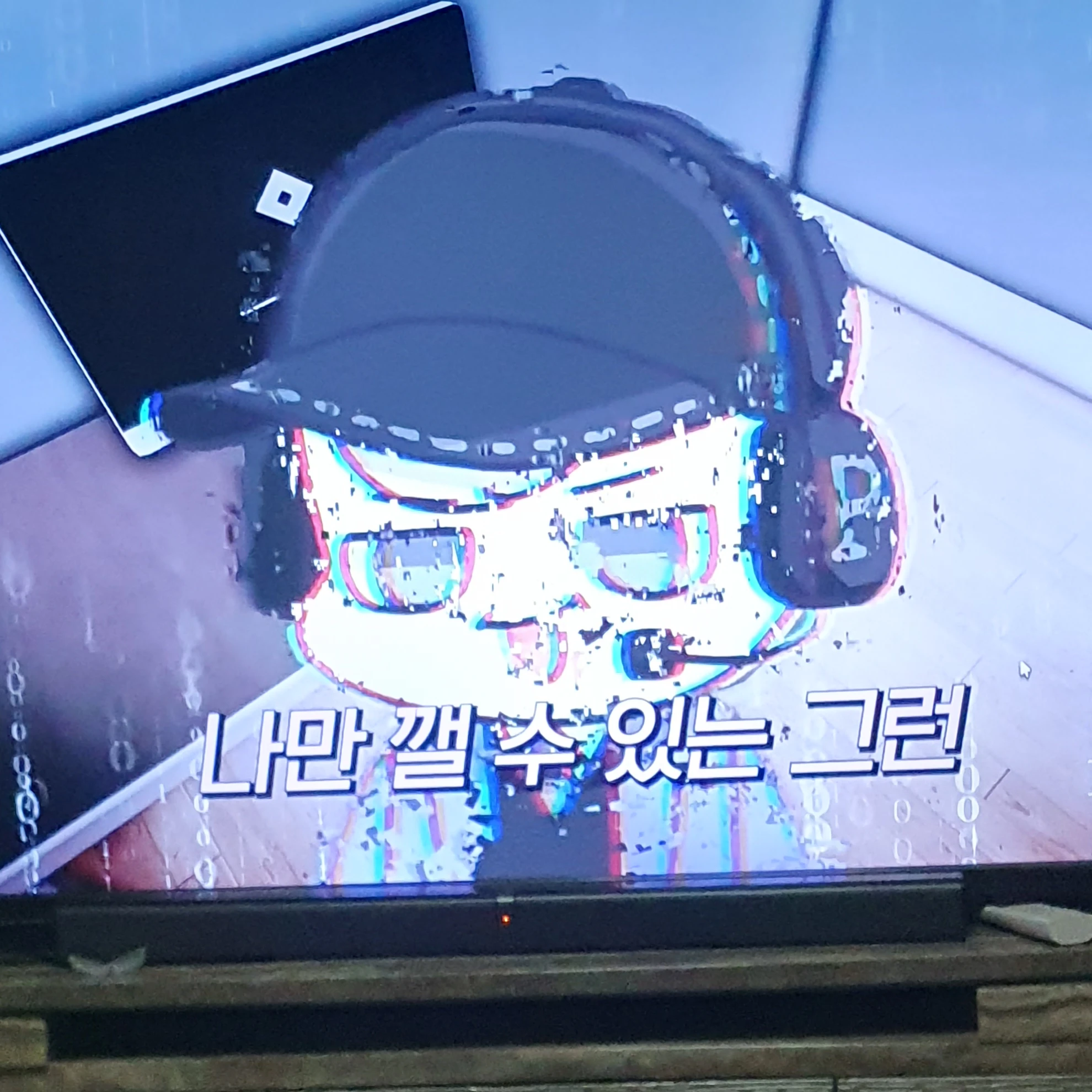 해설사