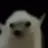 장우