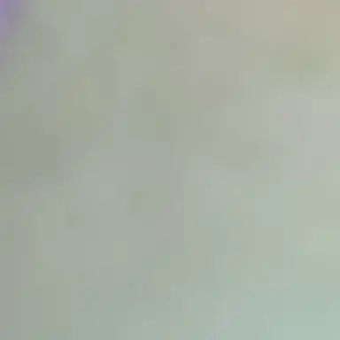 Profile image of 정공룡