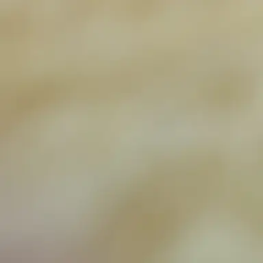 Profile image of 김각별