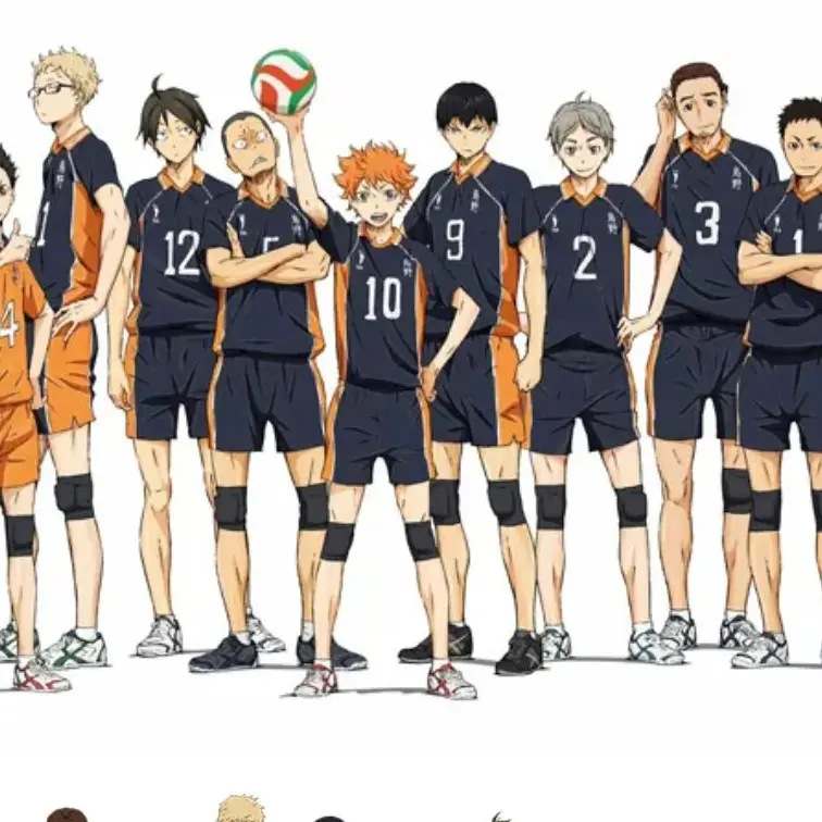 StormyEel4393의 하이큐 조직물