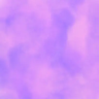 Profile image of sn