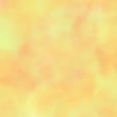Profile image of pn