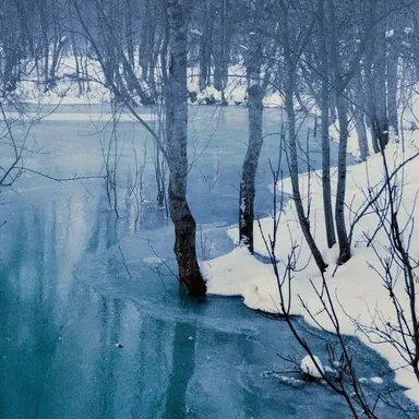 Profile image of 카이른