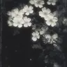 Profile image of 星導ショウ