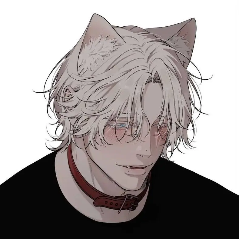 shush의 당신의 거대 고양이 둘.