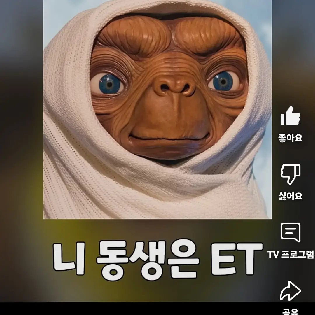DirectStamp1356의 당신이 고고프랜즈의 평학인데  독감입니다