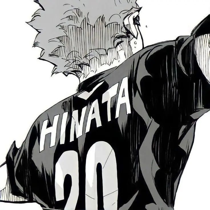 sacr3d.d_의 Hinata Shoyo
