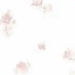 Profile image of 슨철