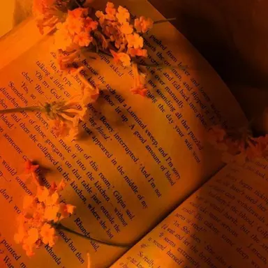 Profile image of 덕개