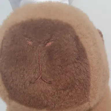 Profile image of 카피바라