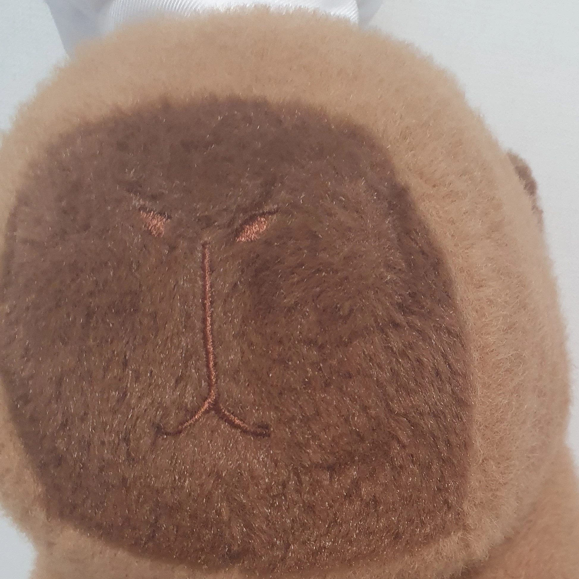 카피바라