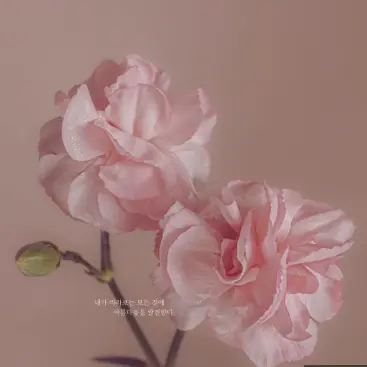 Profile image of 남편 3명