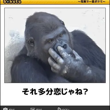 Profile image of ぶり子