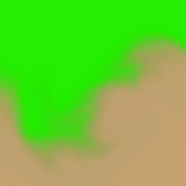 Profile image of 비챤