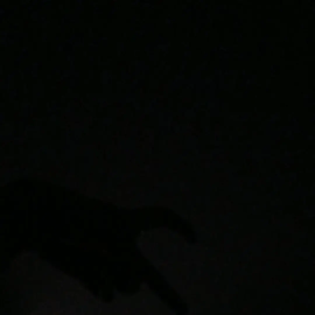 se1_wo의 김동현