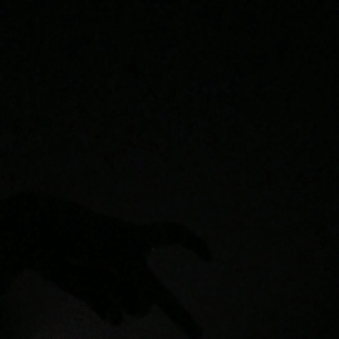 김동현