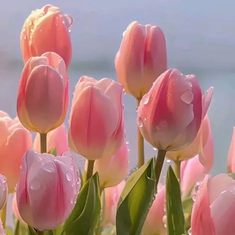 skeorus486의 내맘대로 세계관