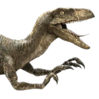 Profile image of 에코