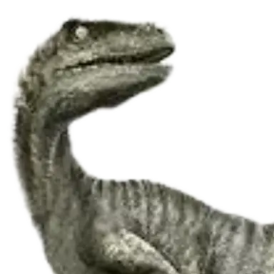 Profile image of 찰리