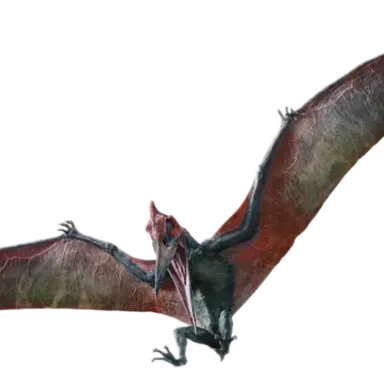 Profile image of 프테라노돈