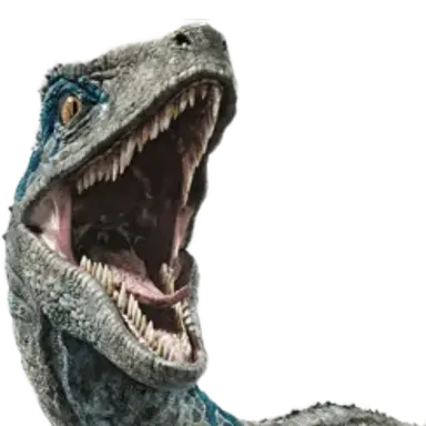 Profile image of 블루