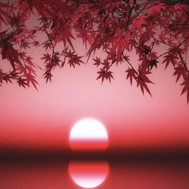 Profile image of Akina Saegusa