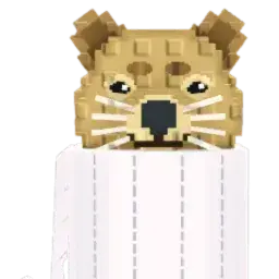 Profile image of 카시 키티