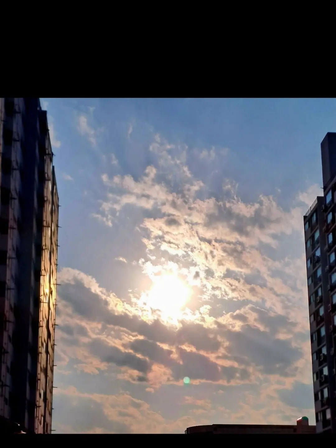 PaltryTaxi3467의 블루즈💙