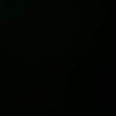 Profile image of 고고프렌즈