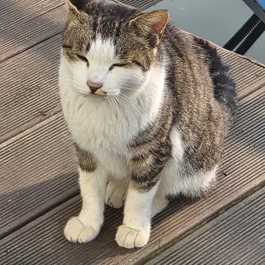 Profile image of 성진아