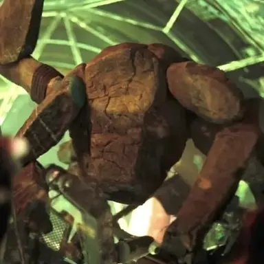 Profile image of Rocky