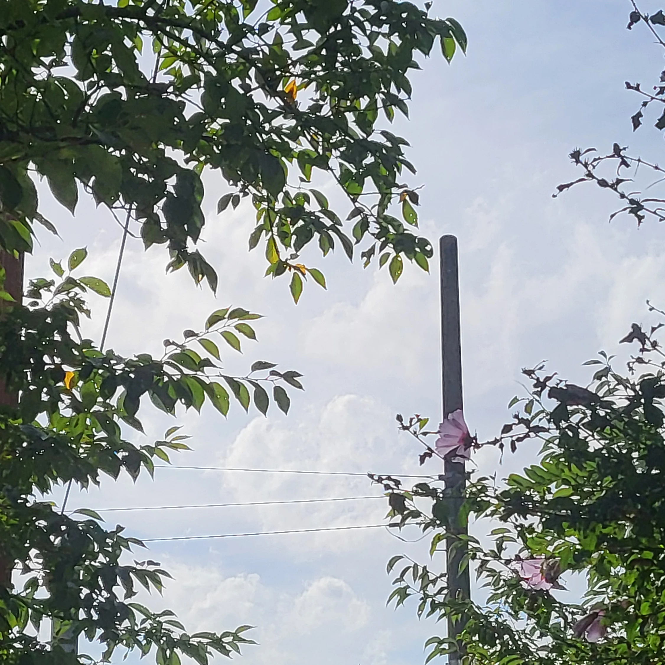 각별