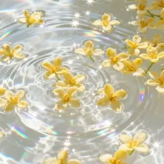 Profile image of 쪼만