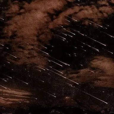 Profile image of 행크