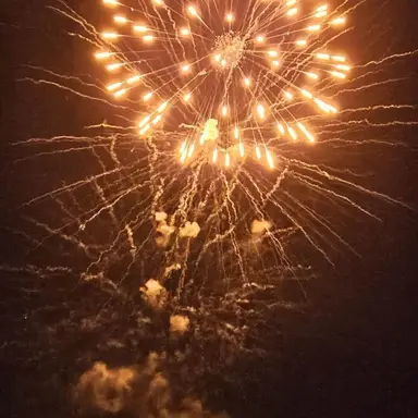 Profile image of 코마