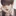 최은형