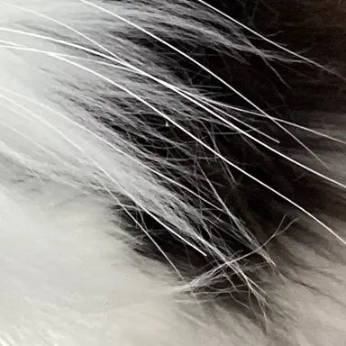 Profile image of タオ