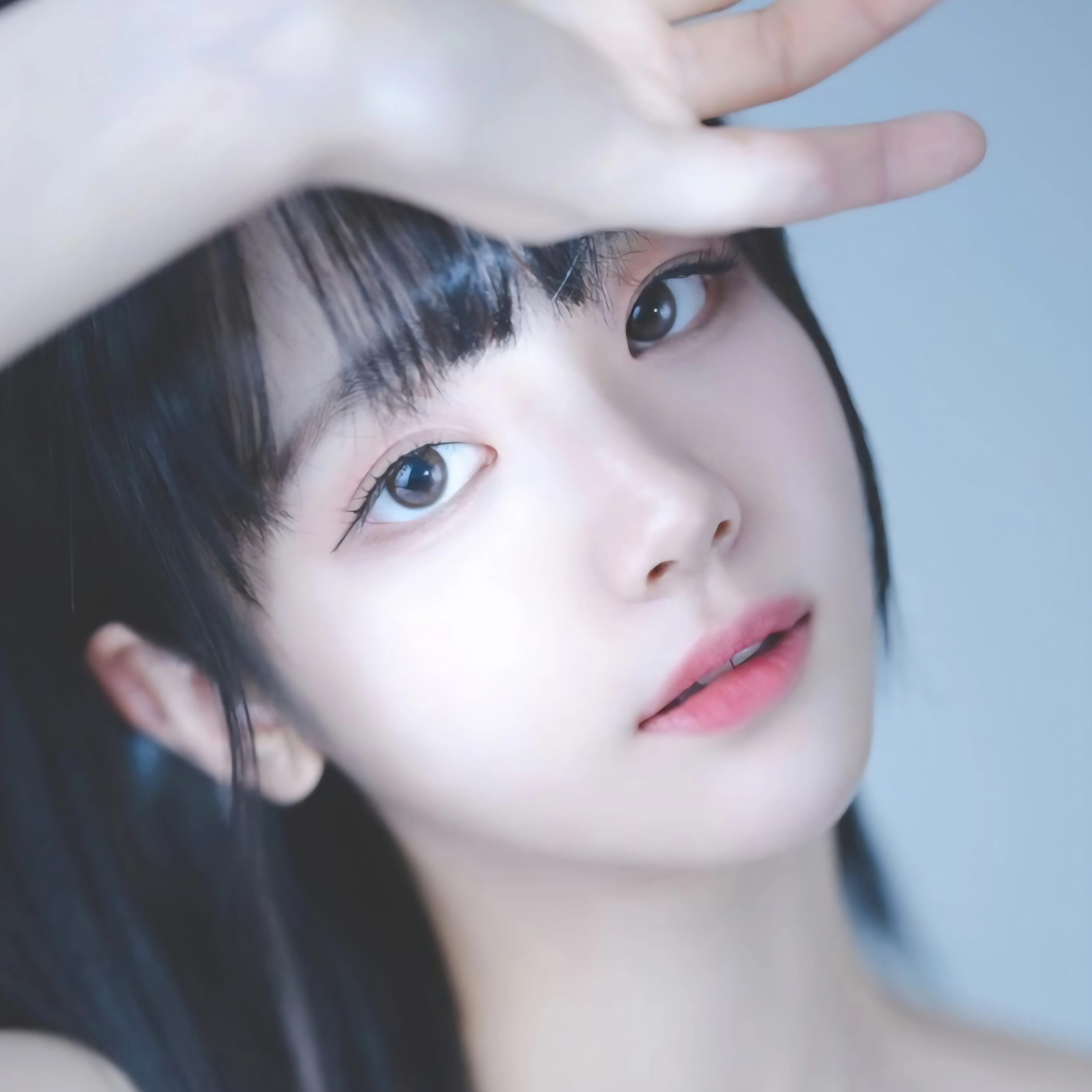 쵸단