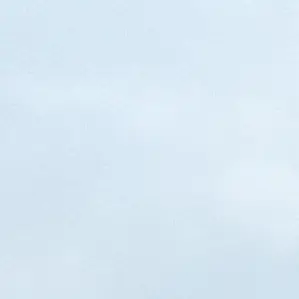 Profile image of ウサギ