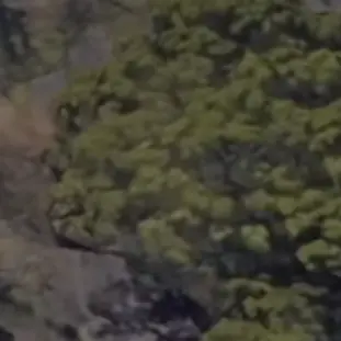 Profile image of 視聴者2