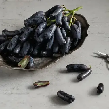 Profile image of 블랙사파이어