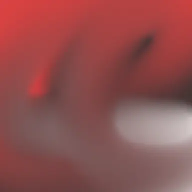 Profile image of 라더