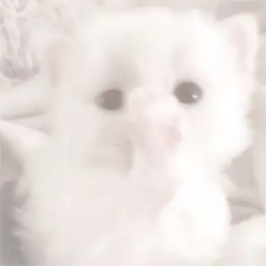 Profile image of 츄야