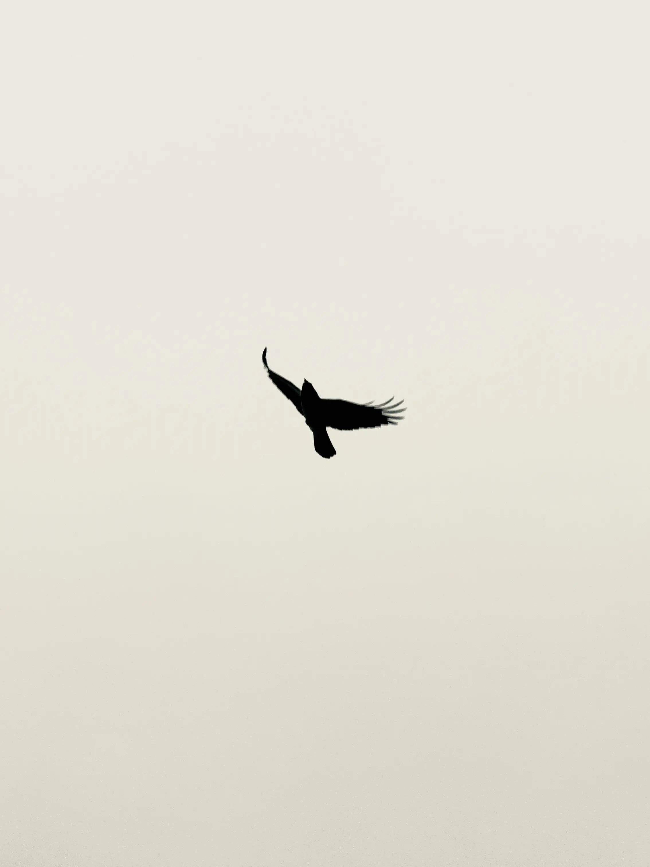 Ohkey_GAMSA의 Clink
