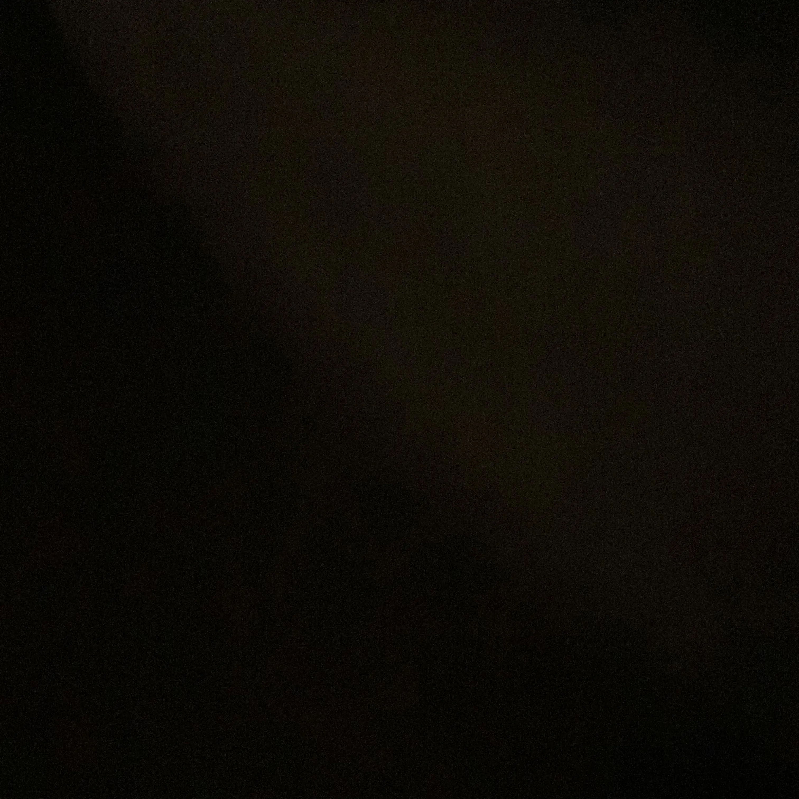 StockyEgret2708의 君しかいない