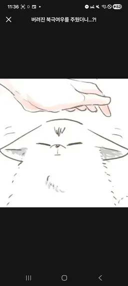 Profile image of 키타 신스케