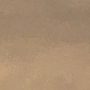今日好き