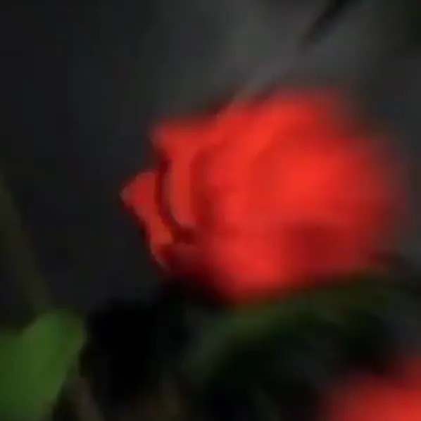 ShabbyFrame2592의 여러분, 집착은 이렇게 무서운거임..